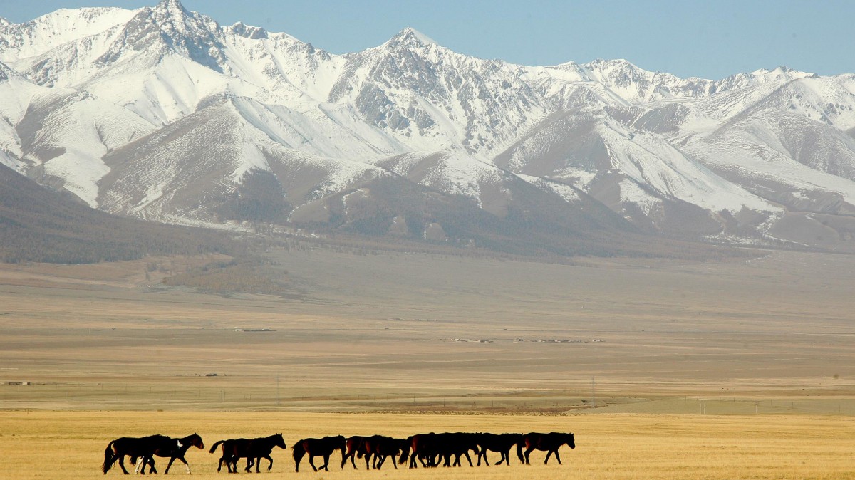In this photo released by China's Xinhua News Agency, a drove of horses run on the grassland at the foot of the Tianshan Mountain, in Hami, northwest China's Xinjiang Uygur Autonomous Region, Wednesday, Oct. 11, 2006. (AP Photo/Xinhua, Zhu Zhenghua)