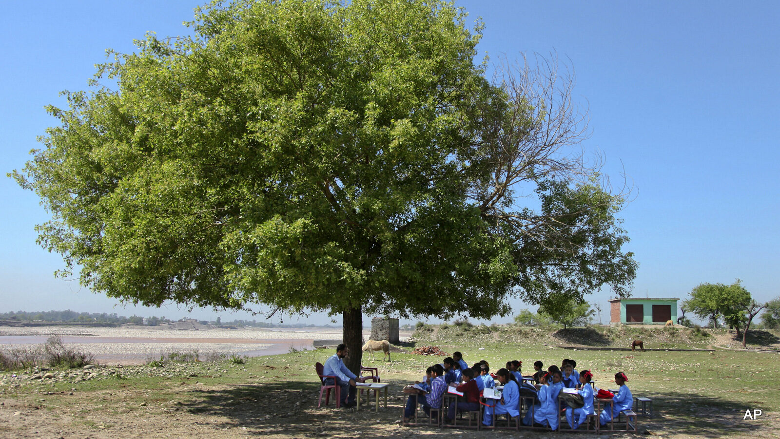 Young Indian children study in the shade of a tree at their government-run school on the outskirts of Jammu, India, Thursday, April 9, 2015. According to the UNESCO Education for All Global Monitoring Report 2015, two out of three countries where lower secondary education was not compulsory in 2000 had changed their legislation by 2012, including India, Indonesia, Nigeria and Pakistan. According to the report, rural India saw substantial improvement in nearly all aspects of school facilities and infrastructure between 2003 and 2010.