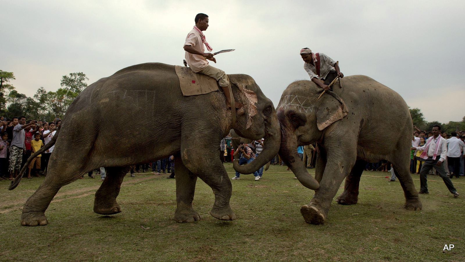 India Festival - MintPress News