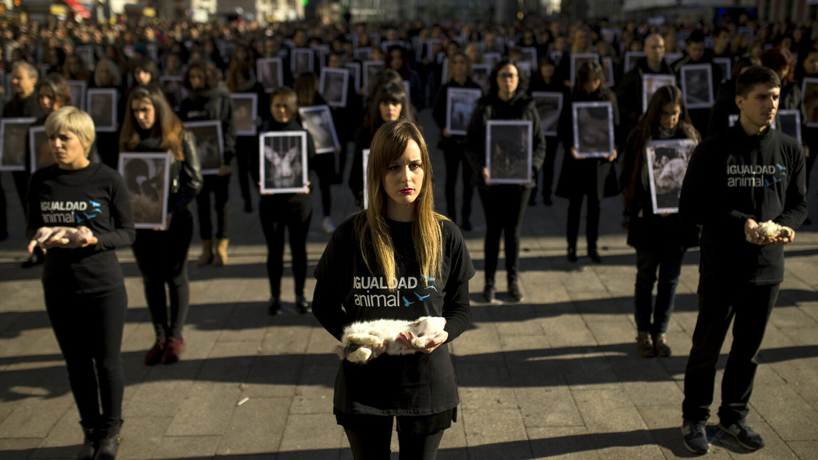 Animal right activists hold dead animals, front row, as others hold pictures of abused animals during a protest in Madrid, Saturday, Dec. 10, 2016. Dead animals displayed at the demonstration was said to be discarded by animals farms and collected from waste bins. The words in t-shirts read in Spanish: "Animal Equality". (AP Photo/Francisco Seco)