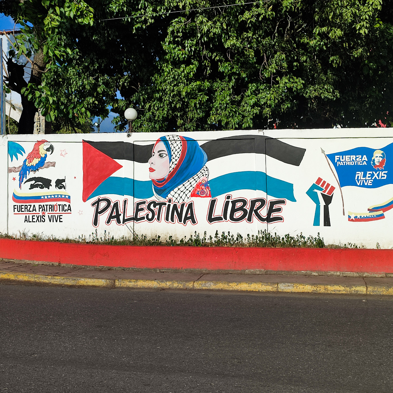 Venezuela Palestine Solidarity