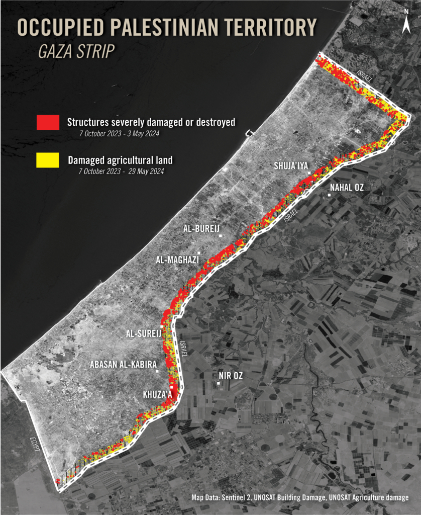 Amnesty International Gaza