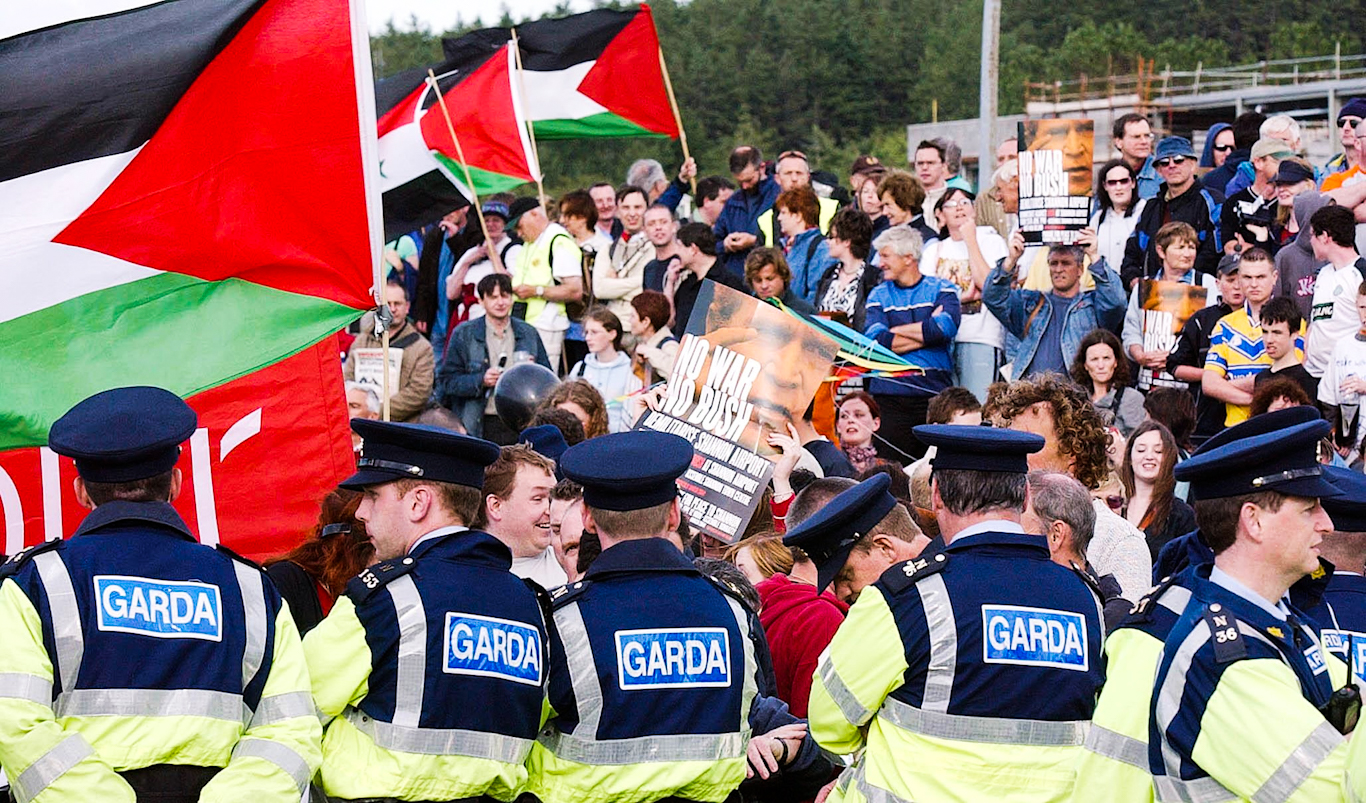 Palestinian Irish